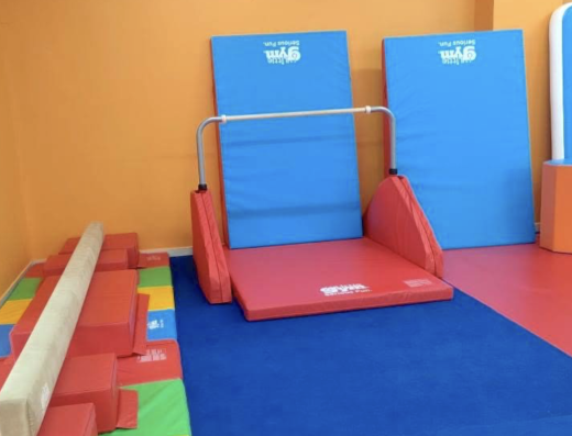 The Little Gym of Electronic City
