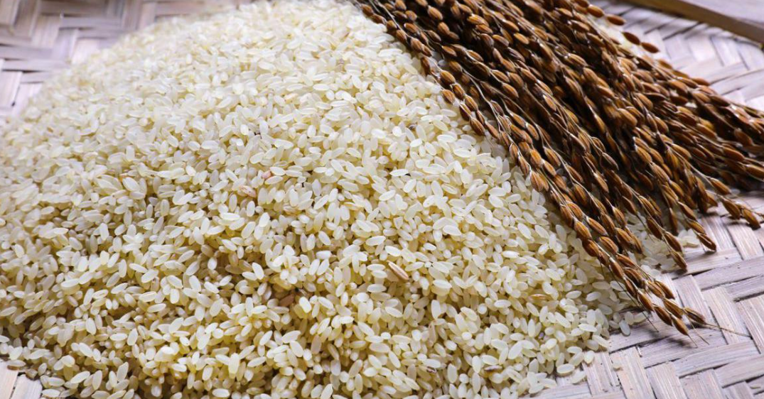 Gobindobhog Rice ( Unpolished ) - 1kg - Image 3